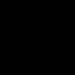 Meet your Posher, Evie